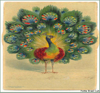 Imagem que representa a fbula "O Pavo queixando-se a Juno". O gnero fbula  uma narrativa na qual, sob o vu da fico, vai envolta a moralidade, e cujos personagens so, ordinariamente, os animais.  <br /><br /> Palavras-chave: Fbula. Figura mitolgica. La Fontaine. Divindade. Literatura. 